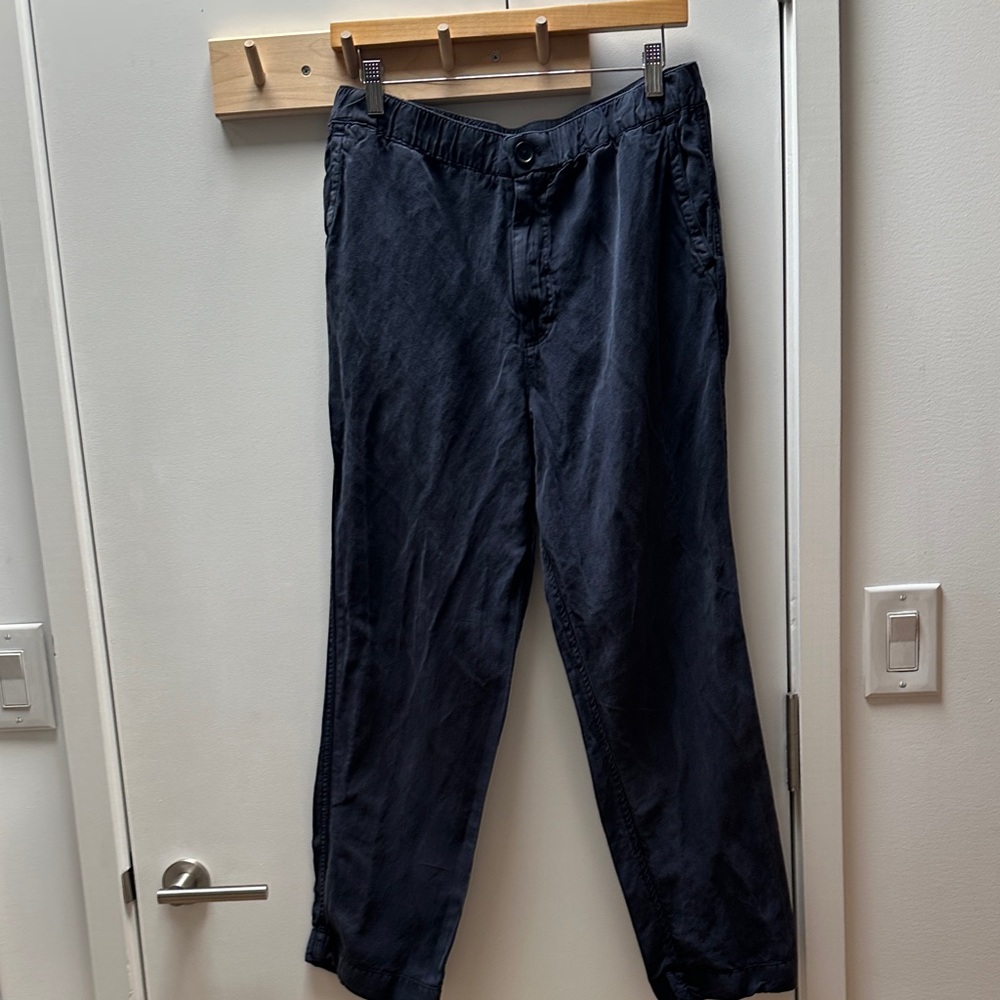 Alex mill navy trousers